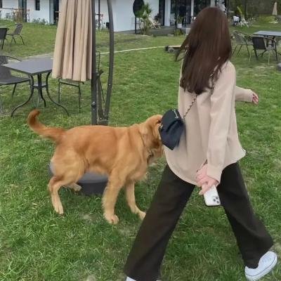 警戒第二季